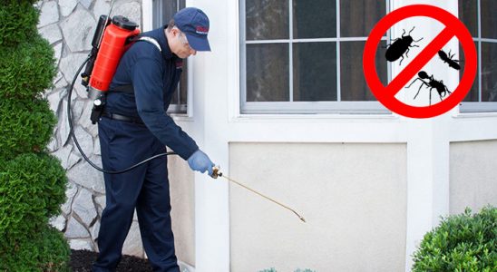 Zeytinburnu Hamam Böceği İlaçlama böcek ilaçlama ve haşere kontrolü — ilaclama-tr.com
